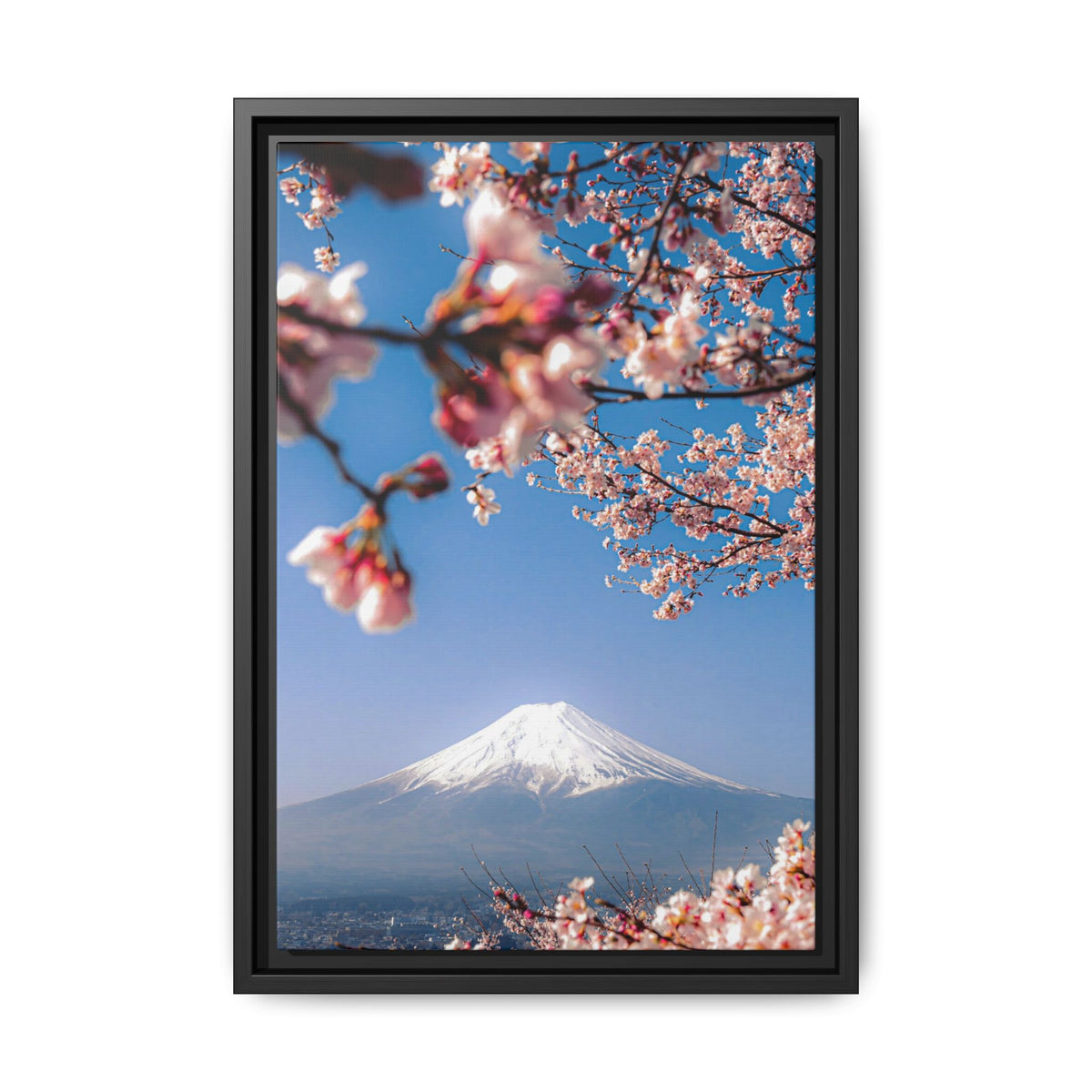 + Blossomed Mt. Fuji +