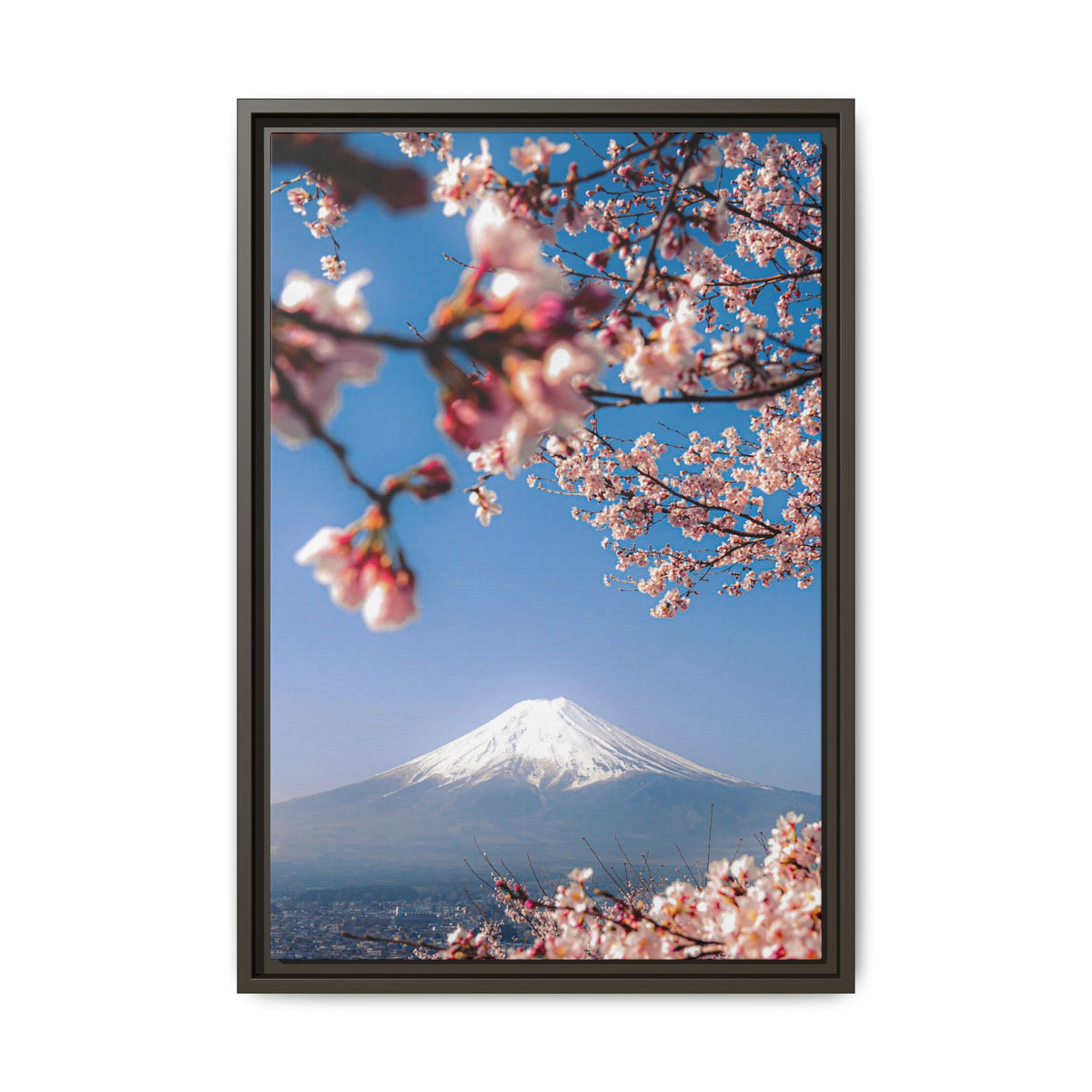 + Blossomed Mt. Fuji +