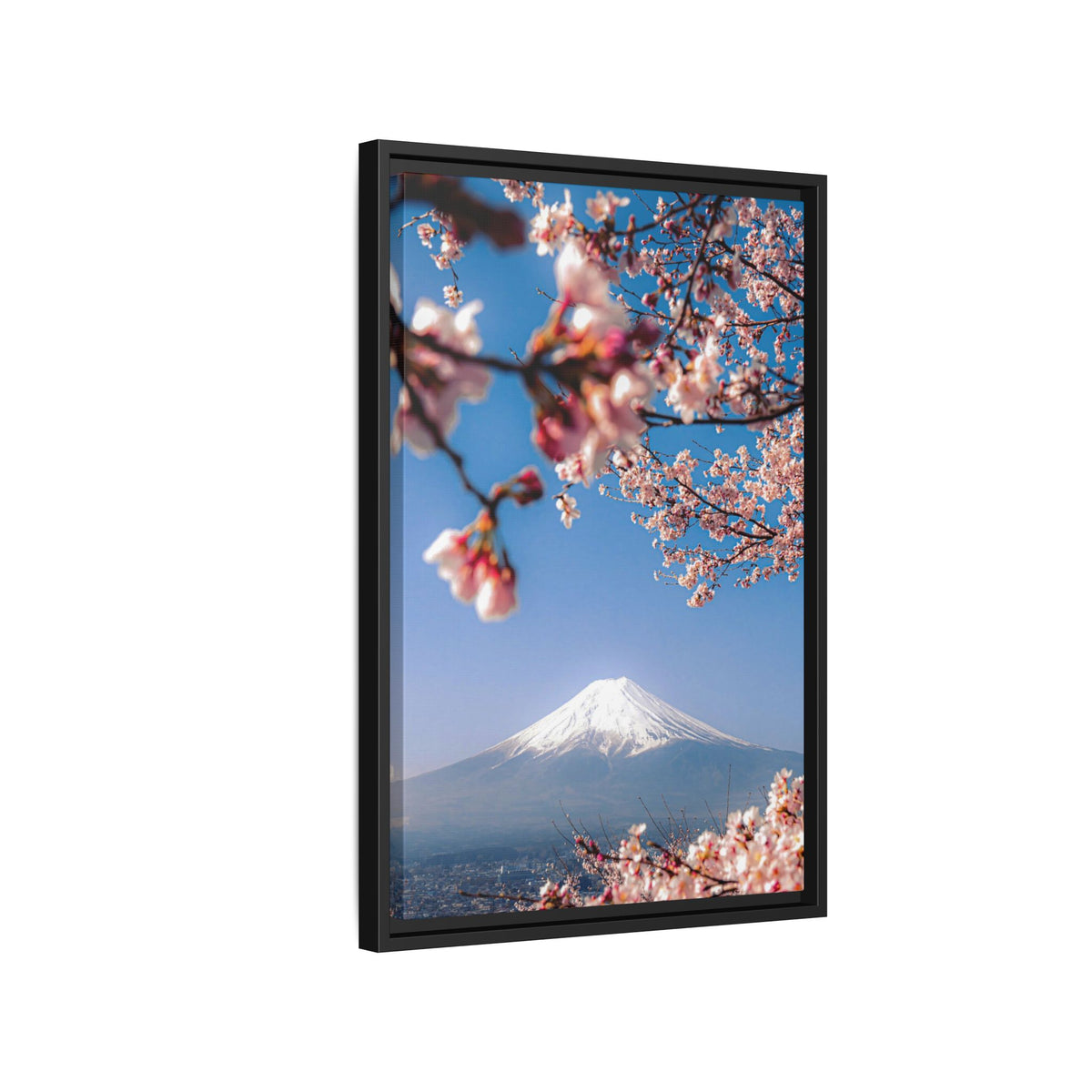 + Blossomed Mt. Fuji +