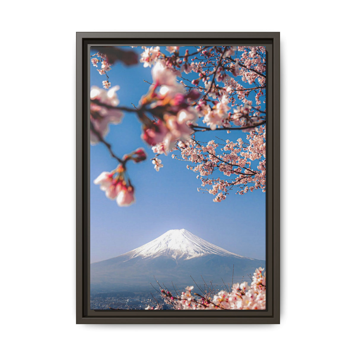 + Blossomed Mt. Fuji +