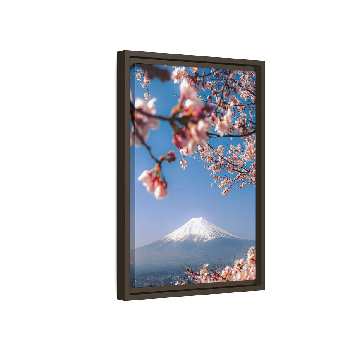 + Blossomed Mt. Fuji +