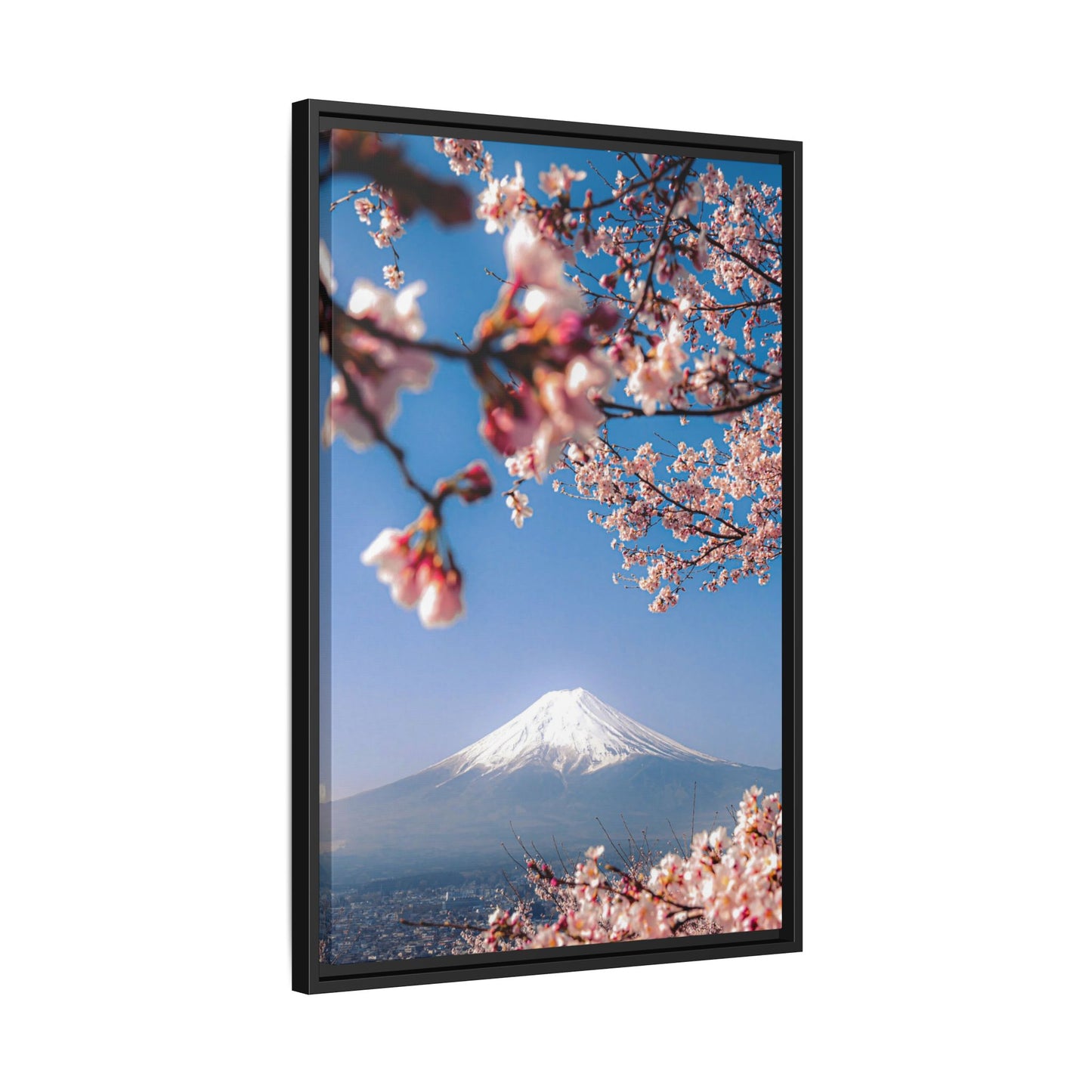 + Blossomed Mt. Fuji +