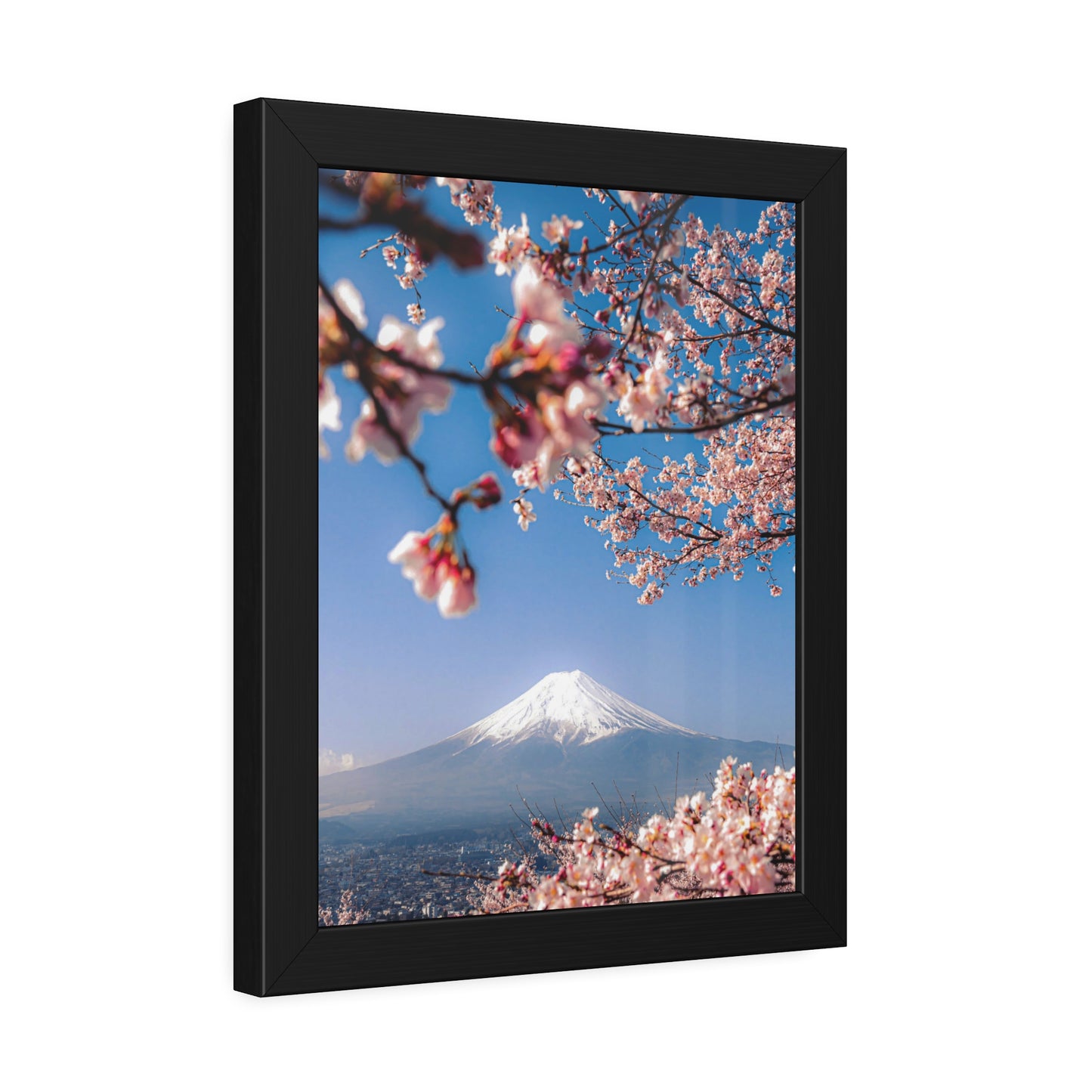 + Blossomed Mt. Fuji +