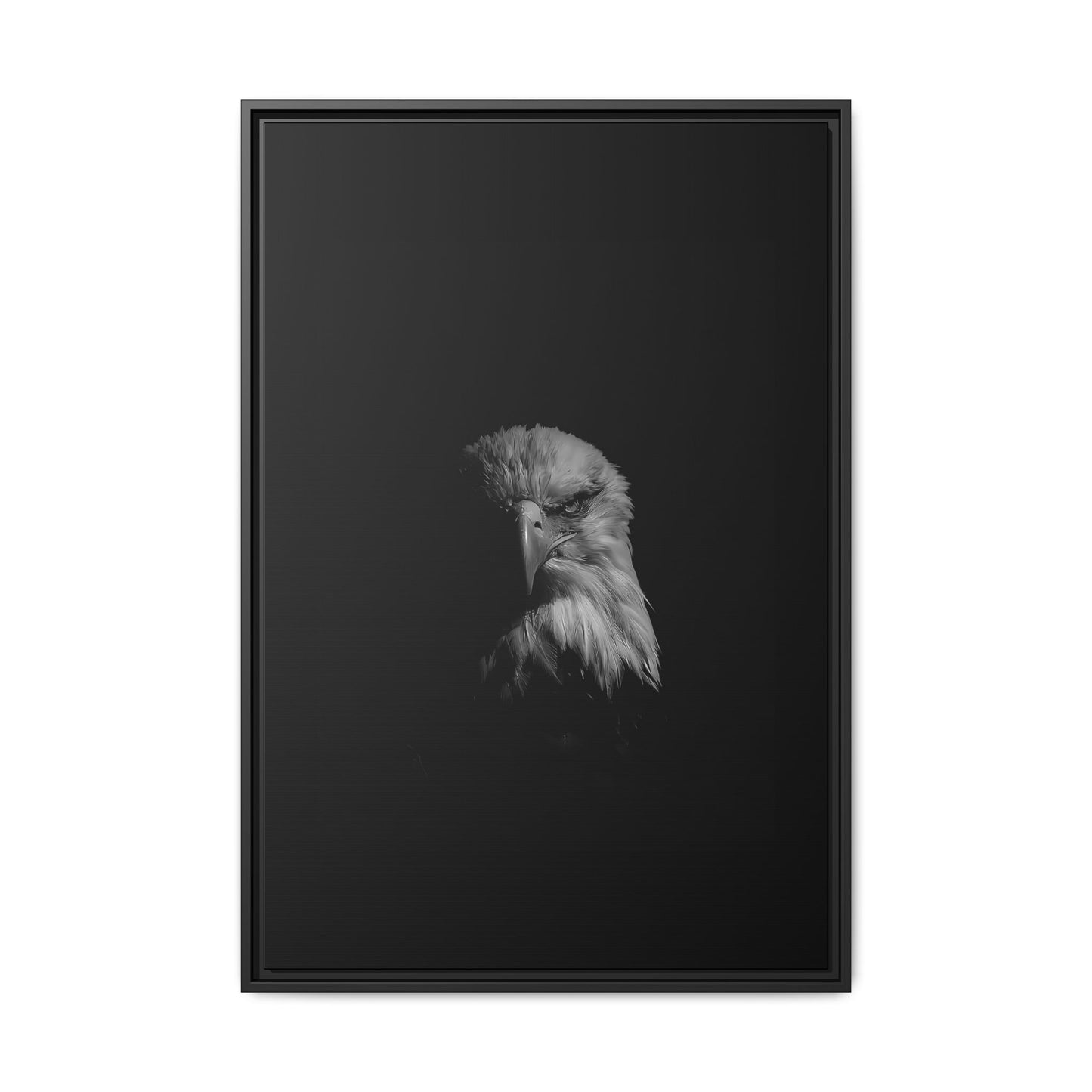 + Bald Eagle +