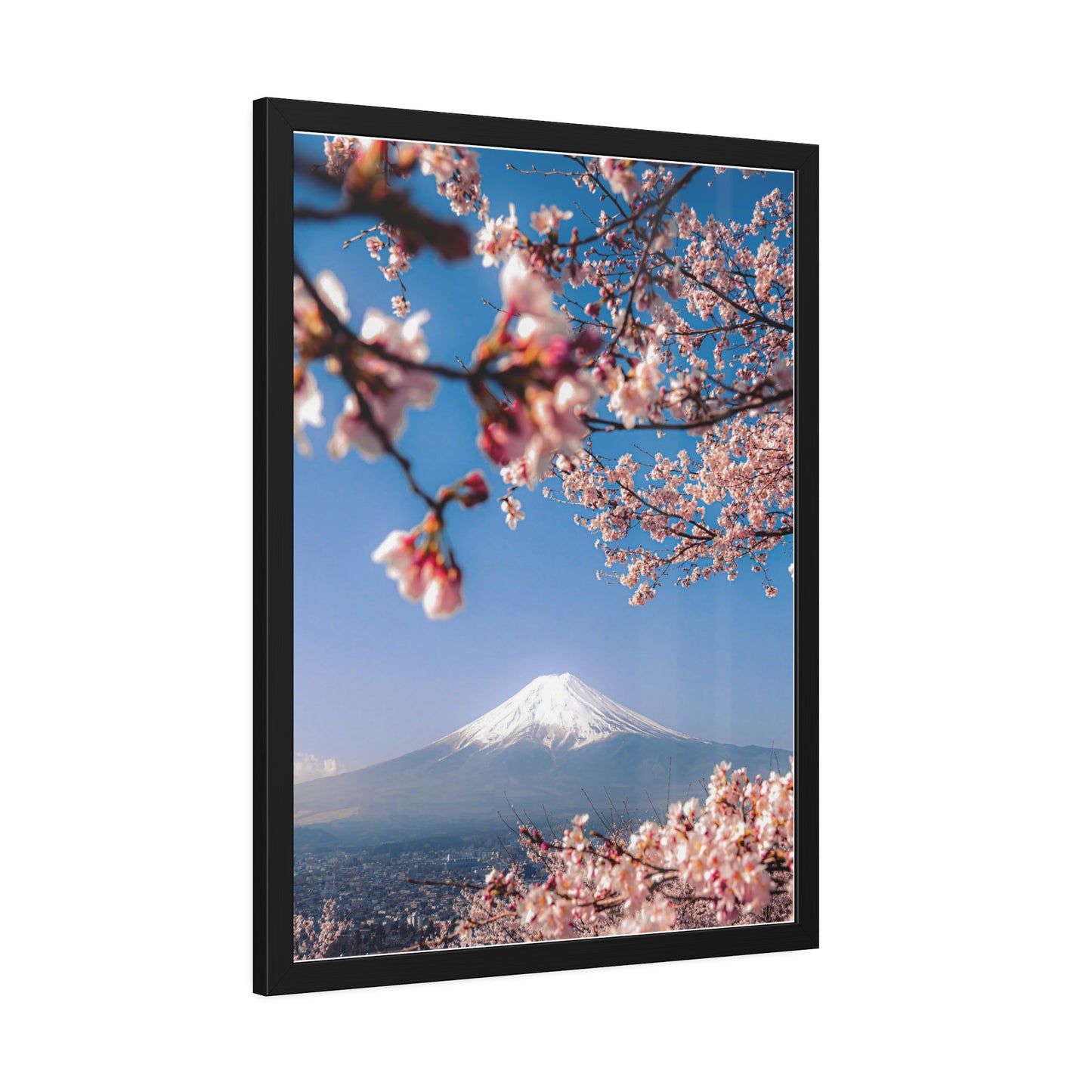 + Blossomed Mt. Fuji +