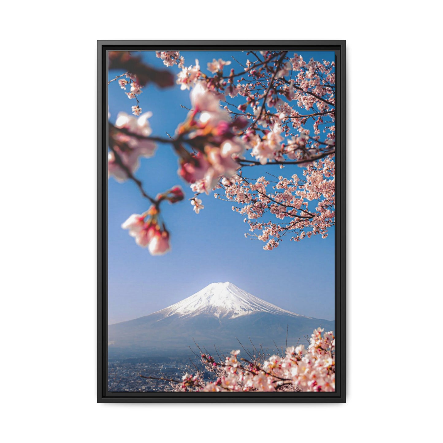 Framed artwork of cherry blossoms with Mount Fuji in the background