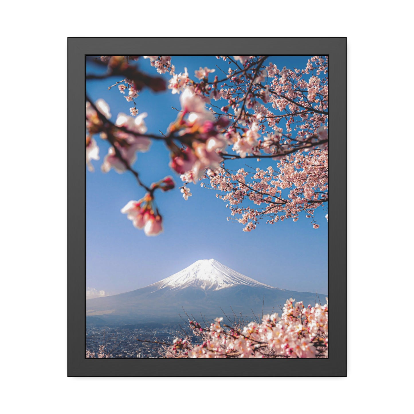 + Blossomed Mt. Fuji +