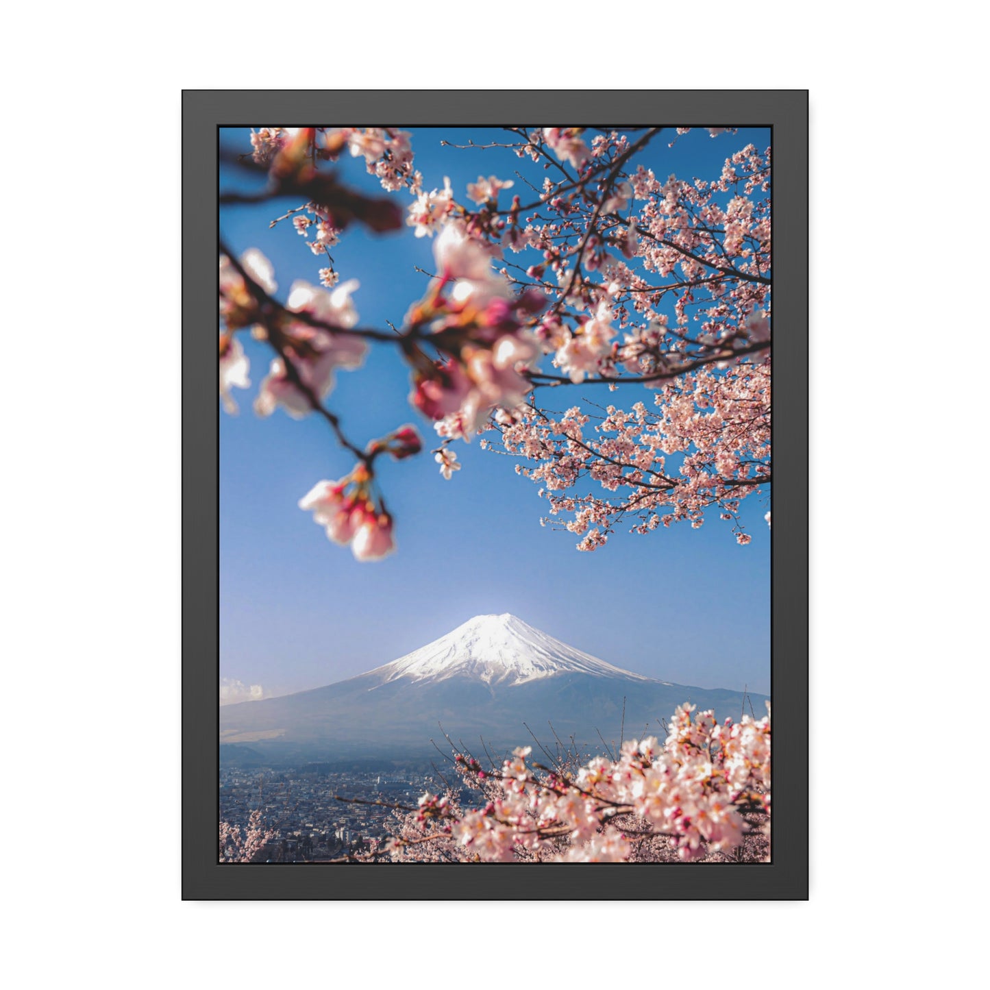 + Blossomed Mt. Fuji +