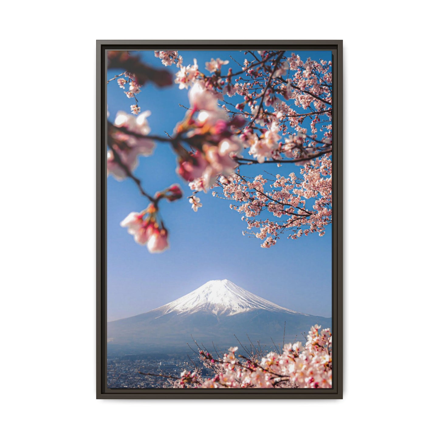 + Blossomed Mt. Fuji +